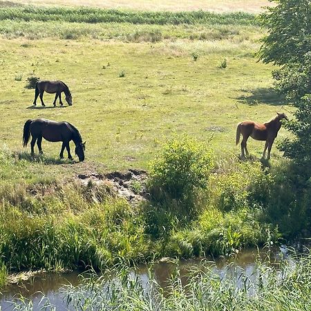 Laba Na Milej Leilighet Łeba Eksteriør bilde