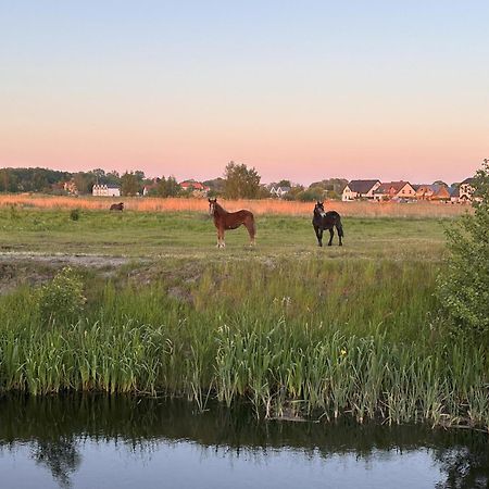 Laba Na Milej Leilighet Łeba Eksteriør bilde